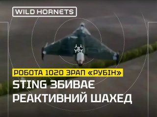 Критика отсутствия системного подхода к борьбе с БПЛА-камикадзе на фоне попытки перехвата «Герани-4» зенитным дроном