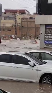 Иллюстрация 4