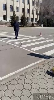 В Иркутске зоозащитниц задержали за пикет против законопроекта об эвтаназии животных