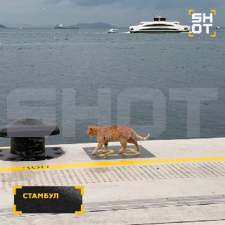 Иллюстрация 3