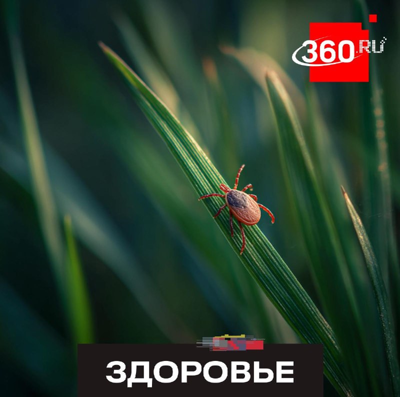 Иллюстрация 1