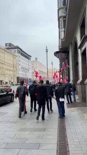Лимоновцы вышли на акцию против празднования Дня Европы в Москве