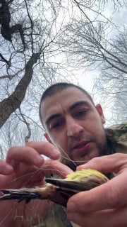 Военный спас птицу из сетки