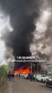 Иллюстрация 1