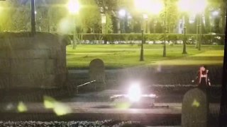В Петербурге задержали мужчину за осквернение мемориала на Марсовом поле