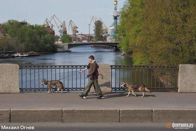 В Санкт-Петербурге и Ленобласти ожидаются ливни, грозы и град