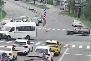 В Подмосковье сотрудники Росгвардии помогли утке с птенцами перейти дорогу