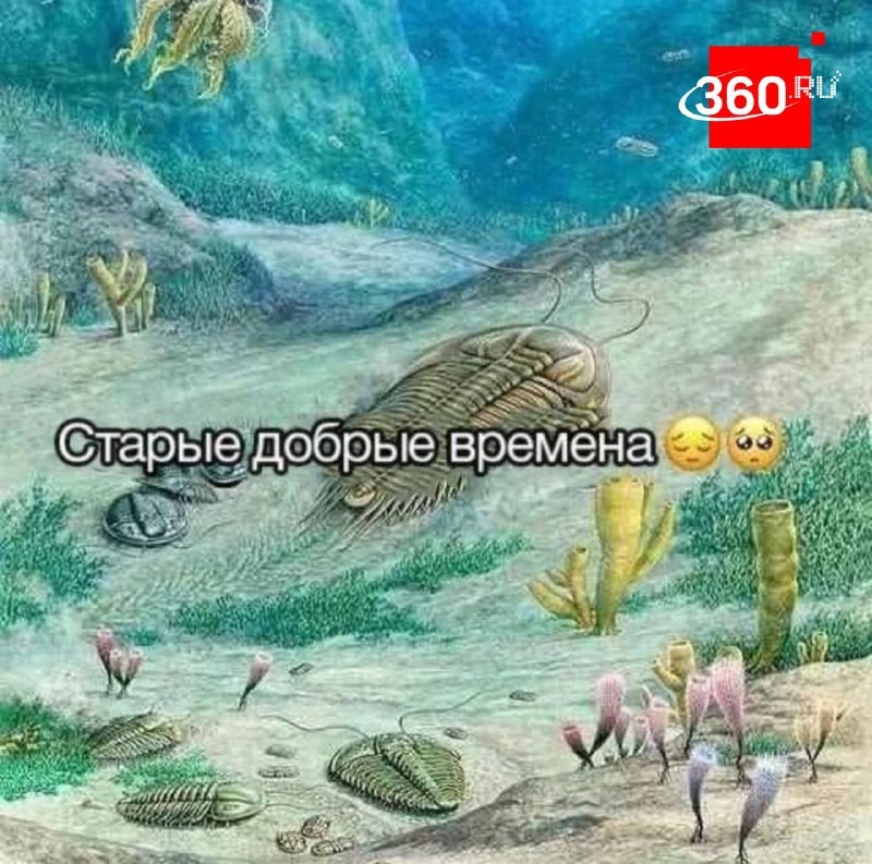 Почему люди спят меньше нормы: взгляд антропологов