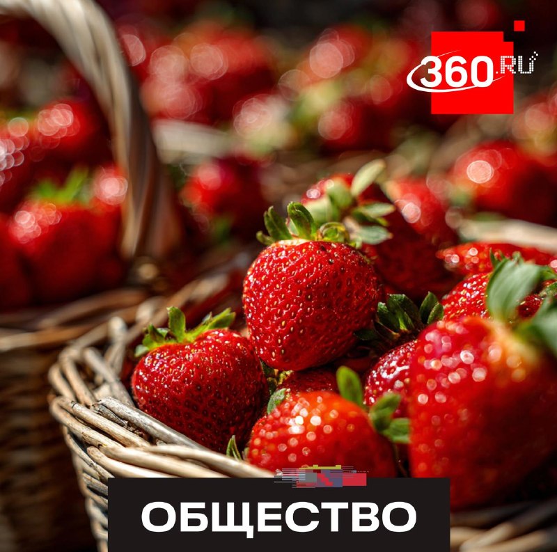 Почему слишком красивая клубника может оказаться «пластиковой» на вкус?