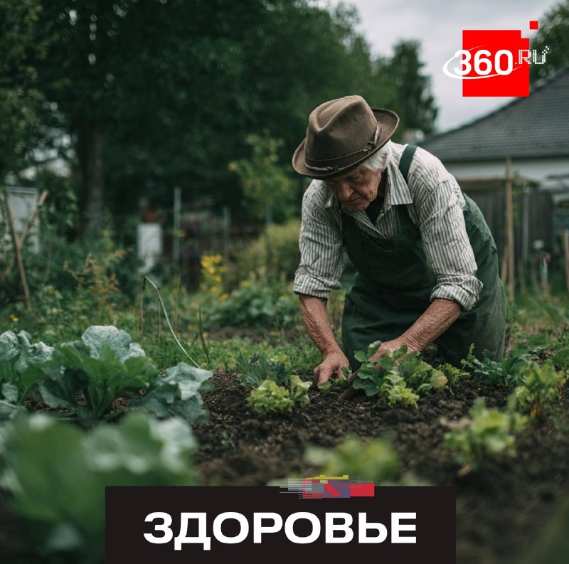 Как избежать сердечно-сосудистых осложнений при работе на даче