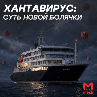 Предупреждение о риске заражения хантавирусом в Южной Америке