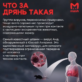 Иллюстрация 2