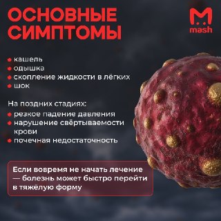 Иллюстрация 3
