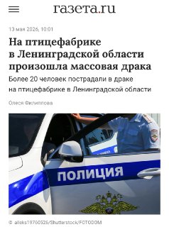 Массовая драка на птицефабрике в Ленобласти: 20 человек госпитализированы