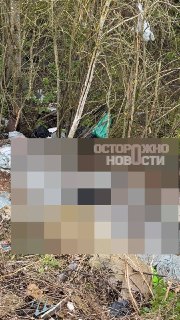 Жители Ярославской области обвинили приют в жестоком обращении с собаками и обнаружении трупов животных