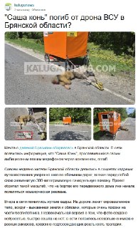 Гибель Саши Коня в Брянске от удара дрона
