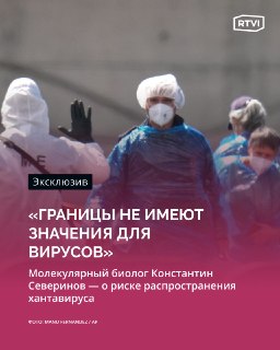 Биолог Северинов оценил риск пандемии хантавируса как крайне низкий