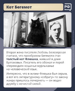 Иллюстрация 6