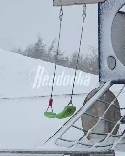 Иллюстрация 1