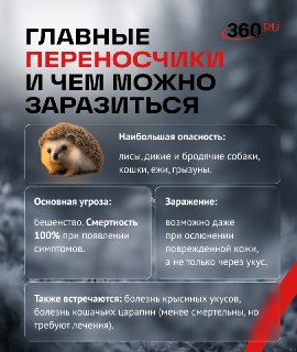 Иллюстрация 3