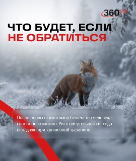 Иллюстрация 4
