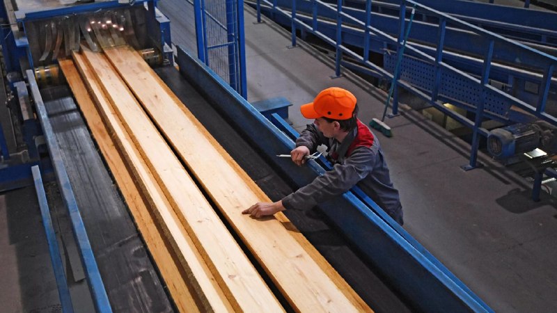 В Финляндии подорожала мебель после отказа от древесины из России