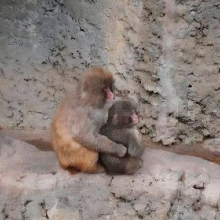 Иллюстрация 2