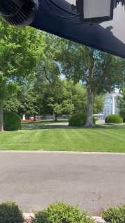 Белый дом атаковали пчелы во время возвращения Трампа из Китая