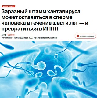Учёные обнаружили способность вируса Ханта сохраняться в сперме до 6 лет
