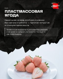 Иллюстрация 4