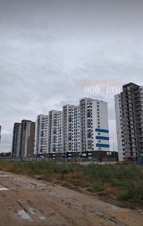 Иллюстрация 5