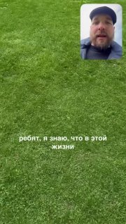 В соцсетях заметили «супергероя» СпайдерМУУУ — статую коровы в костюме Человека-паука