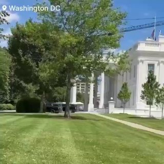 Тысячи пчёл атаковали Белый дом, пока Дональд Трамп был в Китае