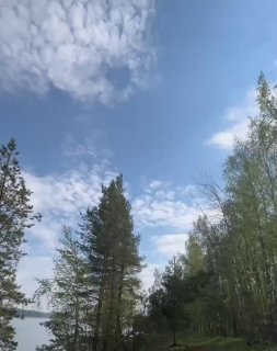 В небе над Карелией заметили истребитель Су-57