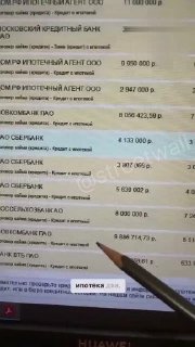 В России нашли женщину, набравшую 13 ипотечных кредитов на 100 млн рублей