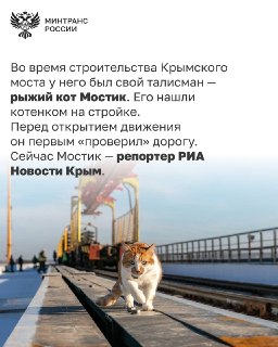 Иллюстрация 6