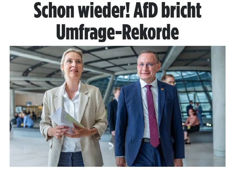 Поддержка партии AfD в Германии достигла 29%