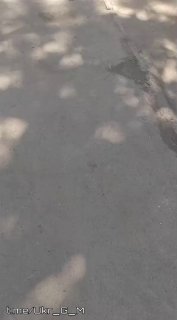 В Украине очевидец заснял принудительную доставку людей для прохождения ВВК