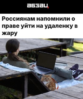 В Госдуме напомнили о праве россиян на удалённую работу в жару
