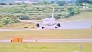 Самолёт Croatia Airlines выехал на газон в аэропорту Сплита после прерванного взлёта