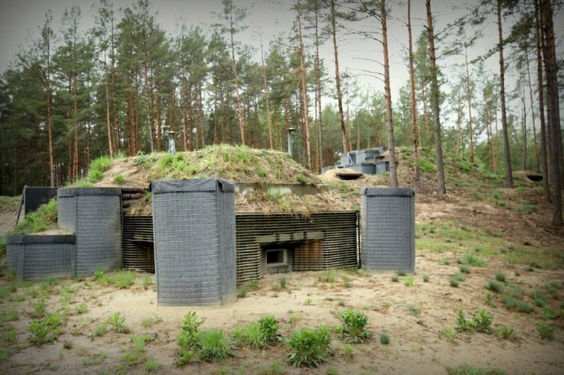 Иллюстрация 3