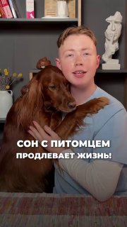 Сон с собакой продлевает жизнь — заявили психологи