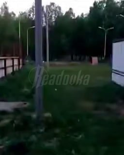 Бультерьер разорвал лицо ребенку в Нижнекамске