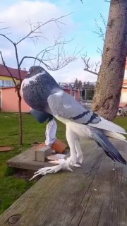 Иллюстрация 2