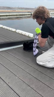 На Васильевском острове нашли потерявшегося нерпёнка