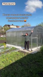 Иллюстрация 1