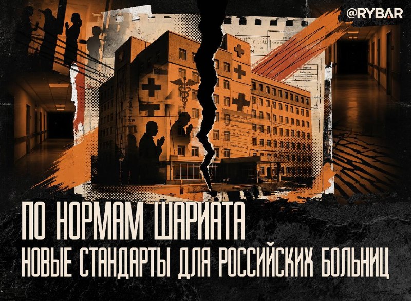 В Роскачестве предложили адаптировать российскую медицину под нормы шариата