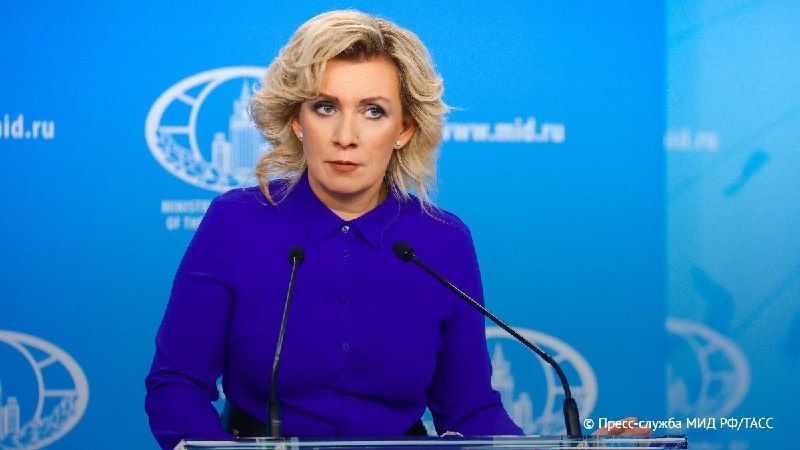 Мария Захарова прокомментировала планы Литвы по созданию минного поля на границе с Россией