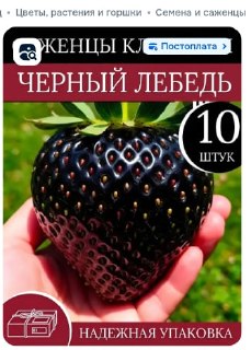 Wildberries и Ozon блокируют карточки с подозрительными семенами на маркетплейсах