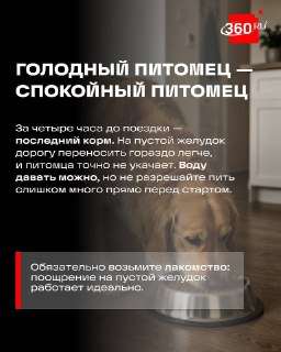 Чек-лист для владельцев животных при поездке на дачу